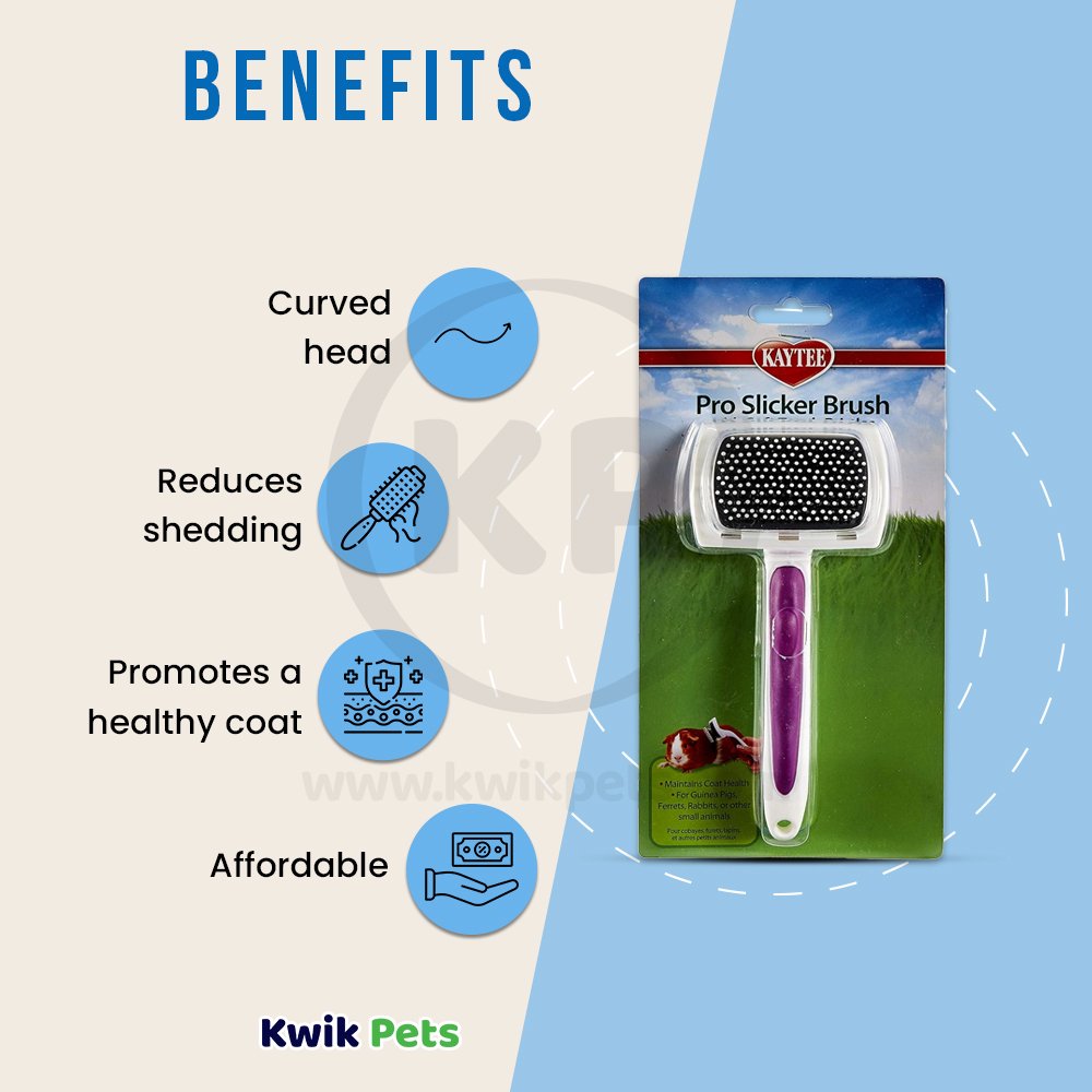 Kaytee Pro-Slicker Brush White, Kaytee