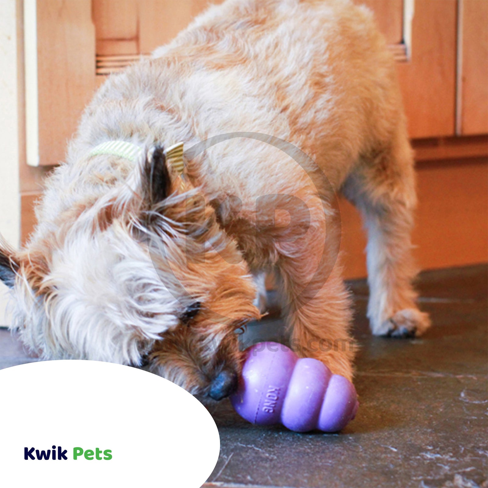 KONG Senior Dog Toy Medium, Kwik Pets