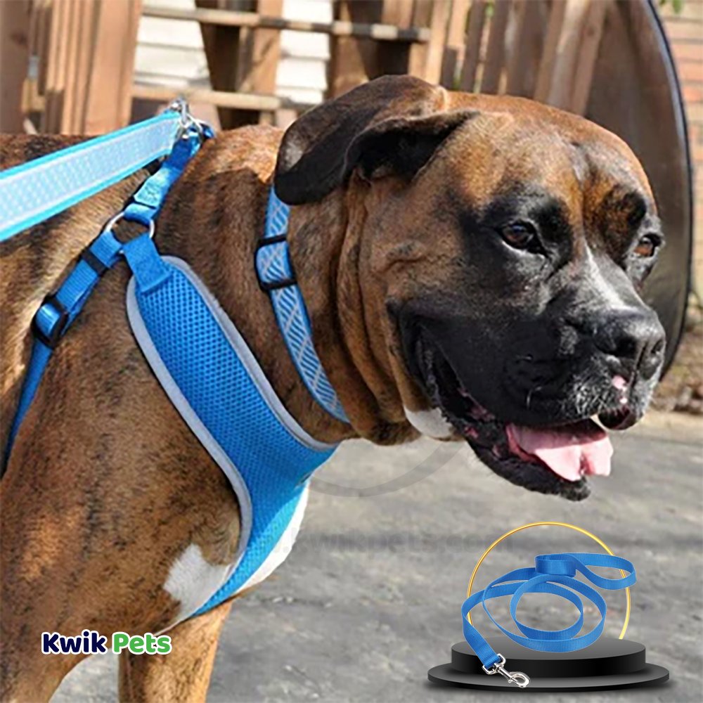 Dog Image of Coastal Single-Ply Nylon Dog Leash Blue 3/8 in X 6 ft