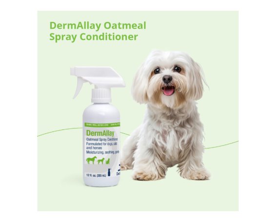 Dechra DermAllay Oatmeal Spray Conditioner for Dogs, Cats & Horses 12-oz