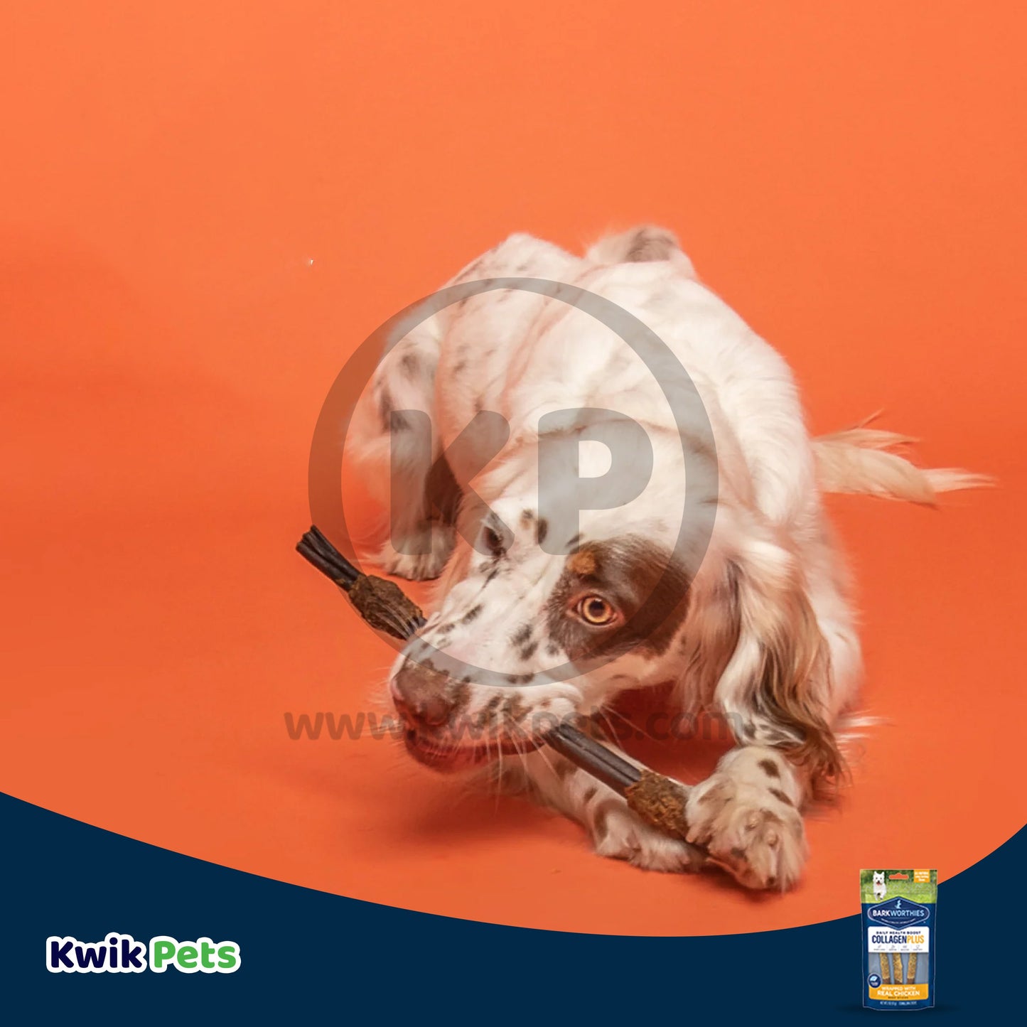 Barkworthies Chicken Wrapped Collagen