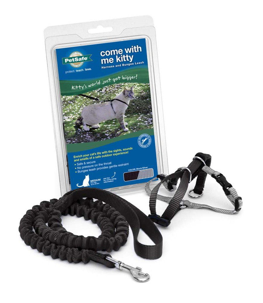 PetSafe Premier Come With Me Kitty Harness & Bungee Leash Combo Black/Silver Medium, Kwik Pets