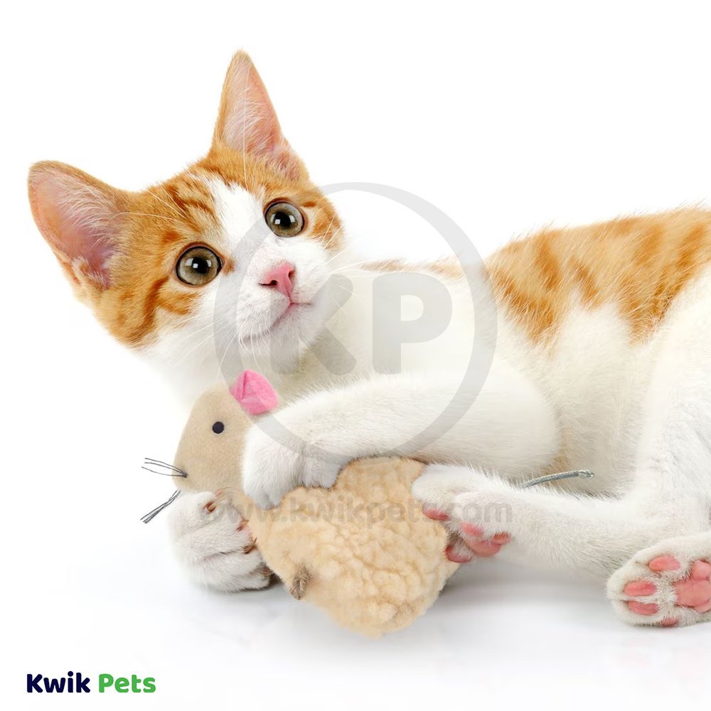 LifeStyle of SmartyKat Madcap Mouse Refillable with Catnip Tube Cat Toy Assorted