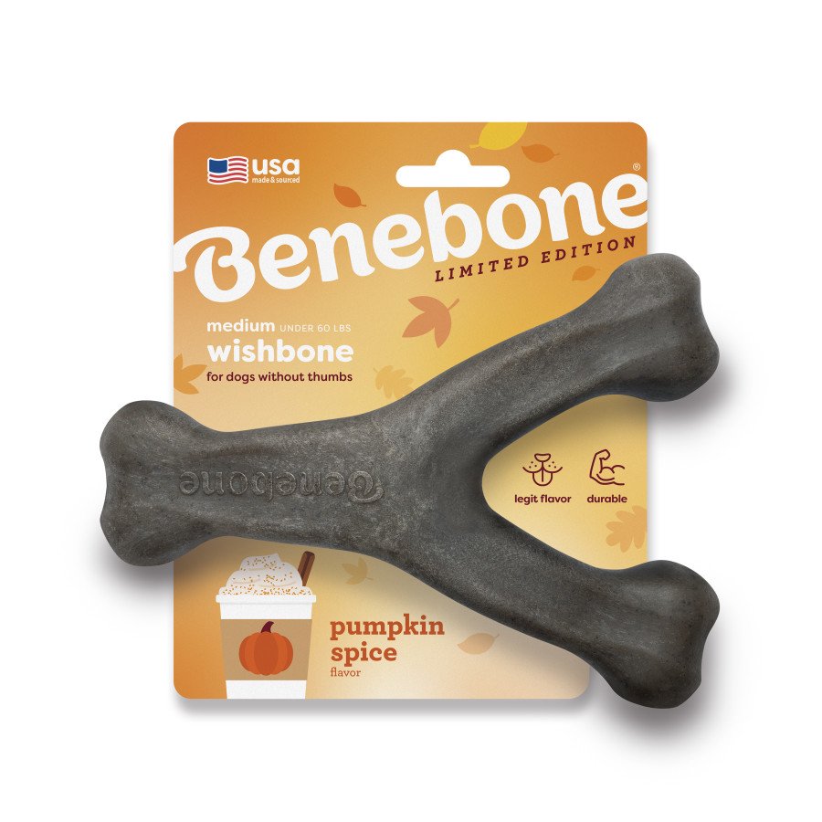Benebone Wishbone Pumpkin Spice Dog Chew Toy Medium