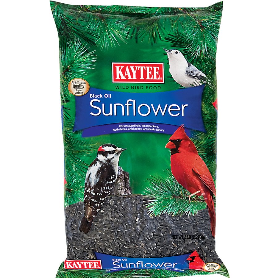 Kaytee Black Oil Sunflower Wild Bird Food 5-lb