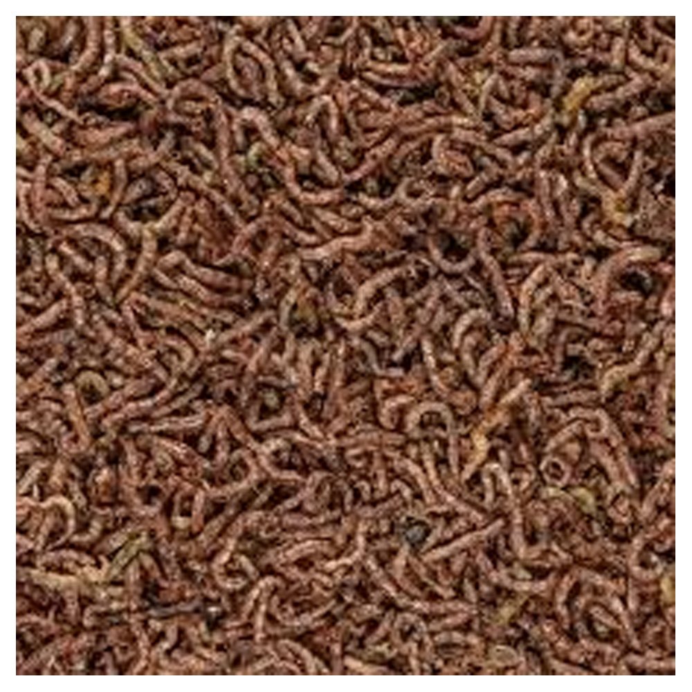 San Francisco Bay Brand Freeze-Dried Bloodworms Betta Fish Food 0.035-oz, Kwik Pets