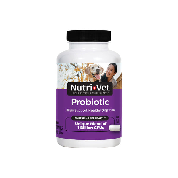 Front of Nutri-Vet Probiotics for Dogs 60 Count
