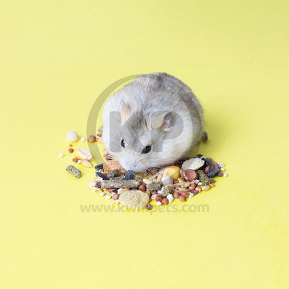Kaytee Pro Health Mouse, Rat, and Hamster Food 3-lb, Kaytee