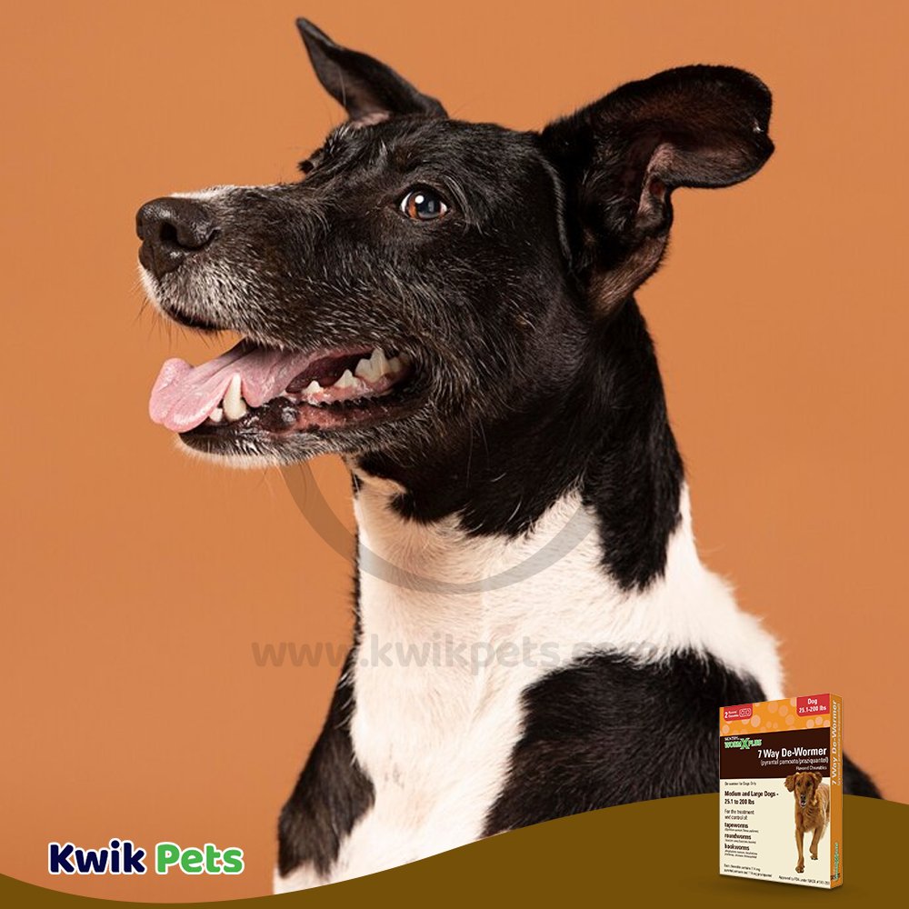 Get Sentry Worm X Plus 7 Way De-Wormer for Large Dogs