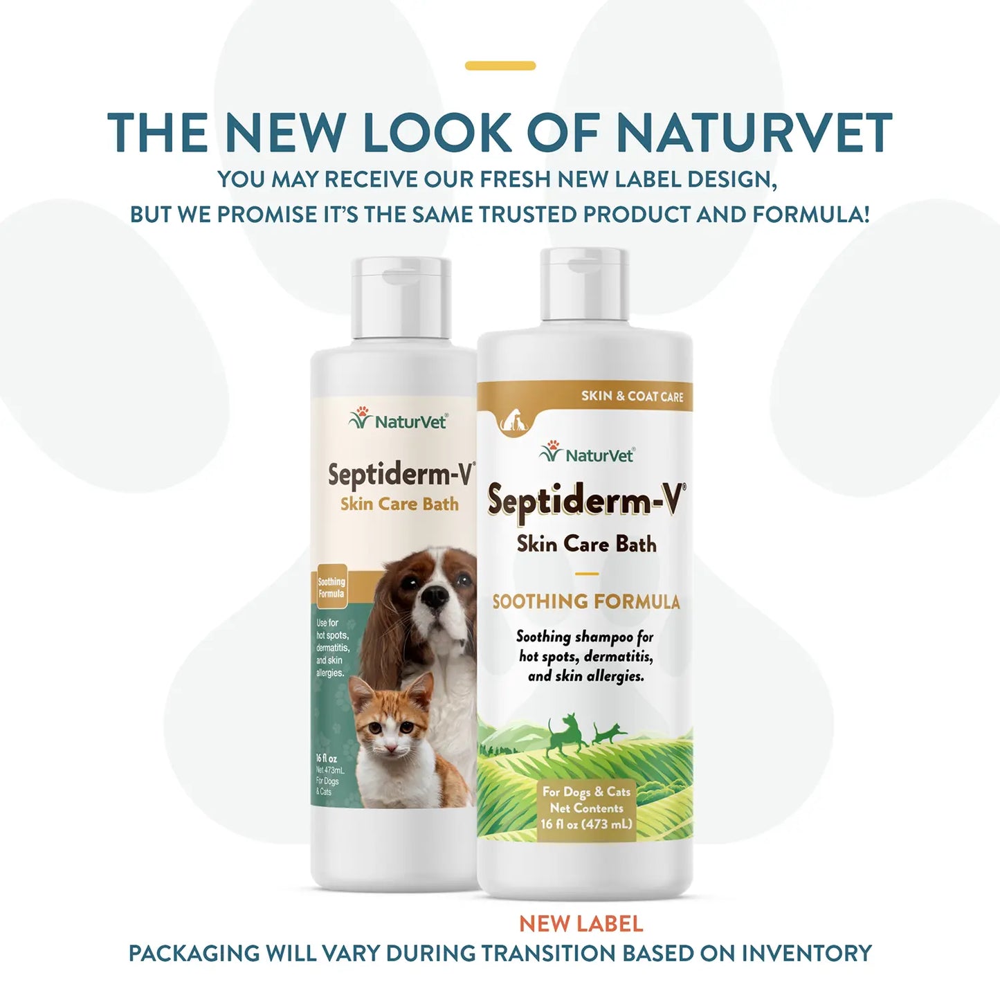 New Look of NaturVet Septiderm-V Skin Care Bath Soothing Formula Shampoo for Dogs & Cats 16-oz