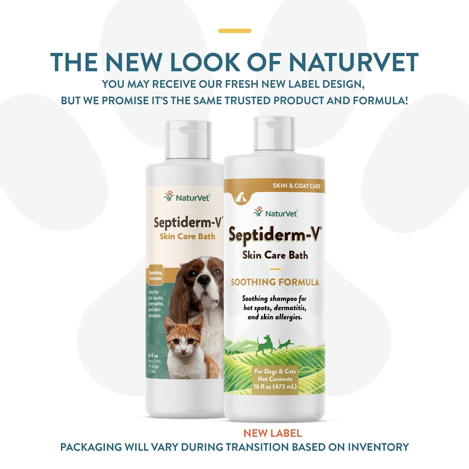 New Look of NaturVet Septiderm-V Skin Care Bath Soothing Formula Shampoo for Dogs & Cats 16-oz