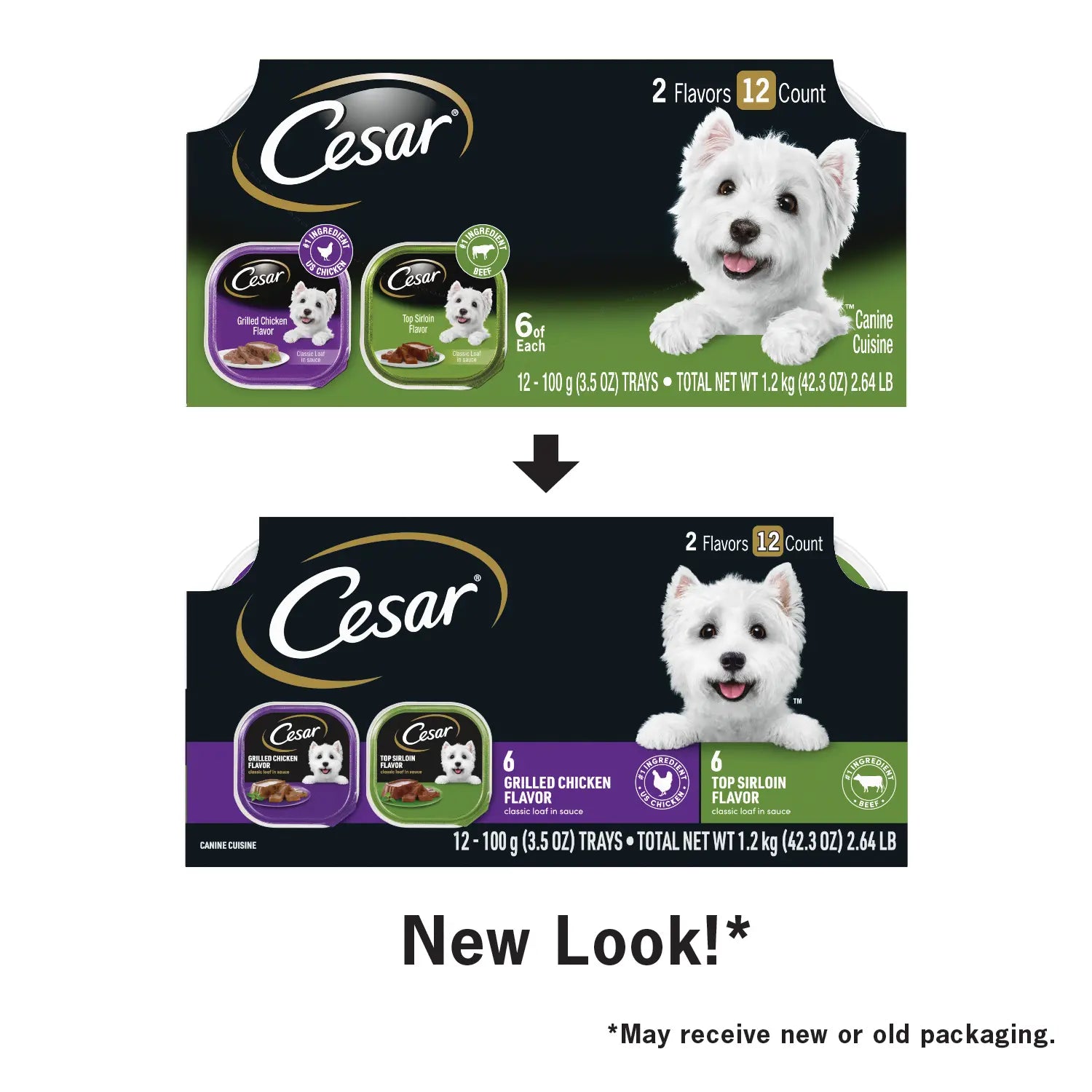 New Look of Cesar Classic Loaf in Sauce Adult Wet Dog Food Variety Pack Grilled Chicken & Top Serloin 12 Count 42.3-oz
