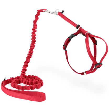 Product of PetSafe Premier Come With Me Kitty Harness & Bungee Leash Combo Red/Cranberry Medium