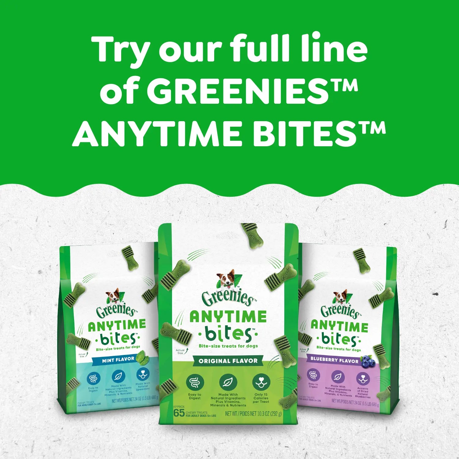 Product Family of Greenies Anytime Bites Bite-Size Dog Dental Treats Mint 10.3-oz