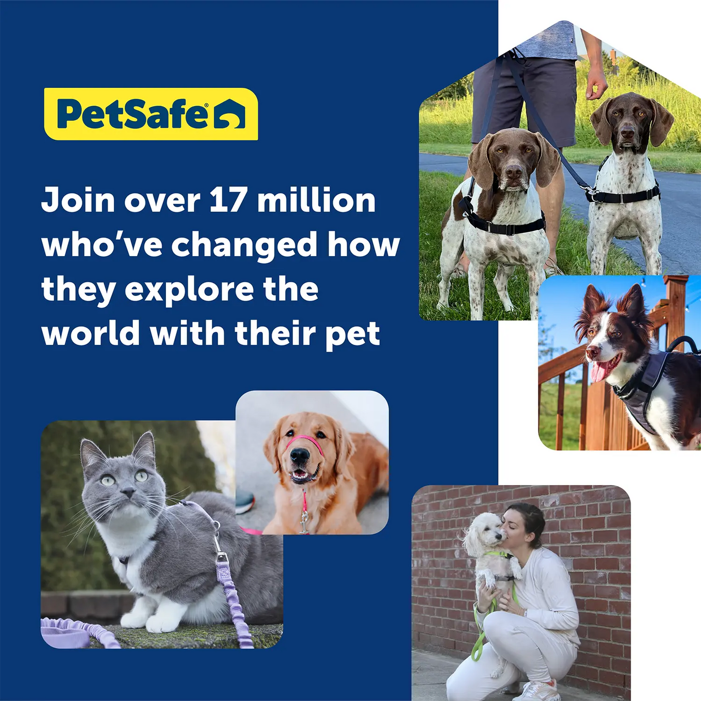 Testimonials of PetSafe Premier Come With Me Kitty Harness & Bungee Leash Combo Red/Cranberry Medium