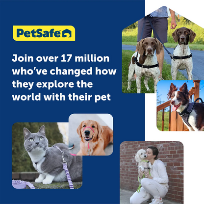 Testimonials of PetSafe Premier Come With Me Kitty Harness & Bungee Leash Combo Red/Cranberry Medium