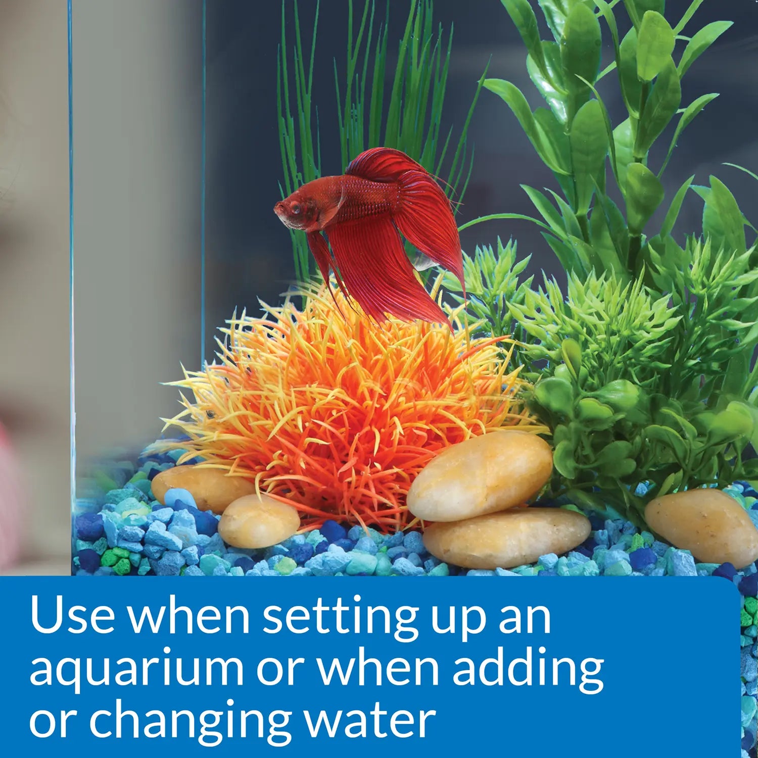 Usages Directions of API Betta Water Conditioner 1.7-oz