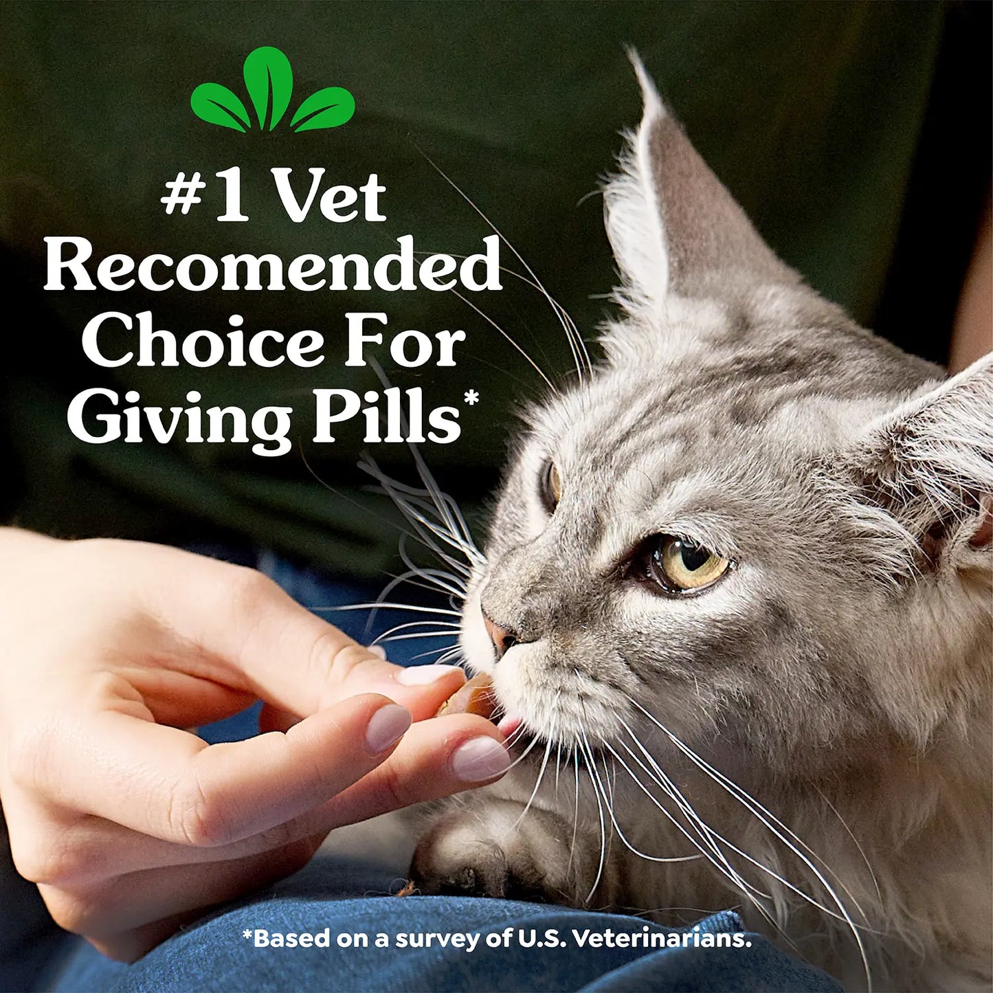 Vet of Greenies Feline Pill Pockets Cat Treats Chicken 1.6-oz 45 Count