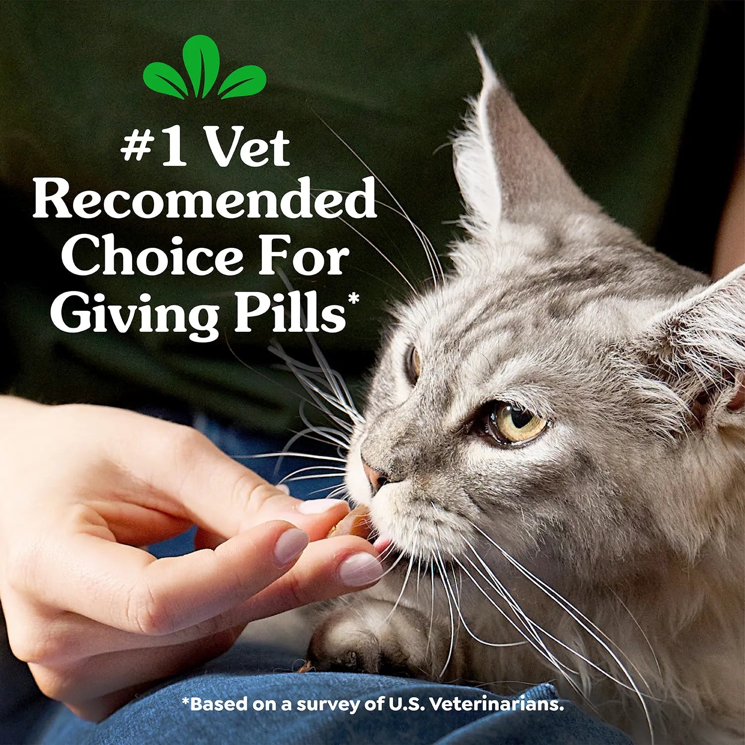 Vet of Greenies Feline Pill Pockets Cat Treats Chicken 1.6-oz 45 Count