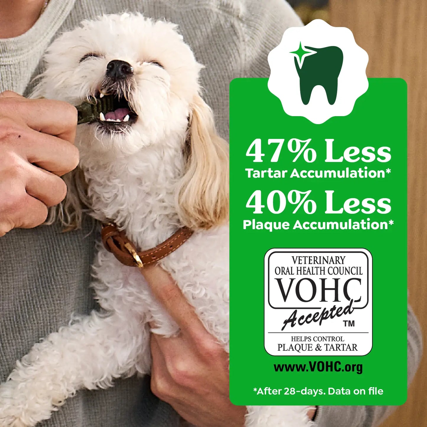 Vet of Greenies Original Dog Dental Treats Regular 36-oz 36 Count