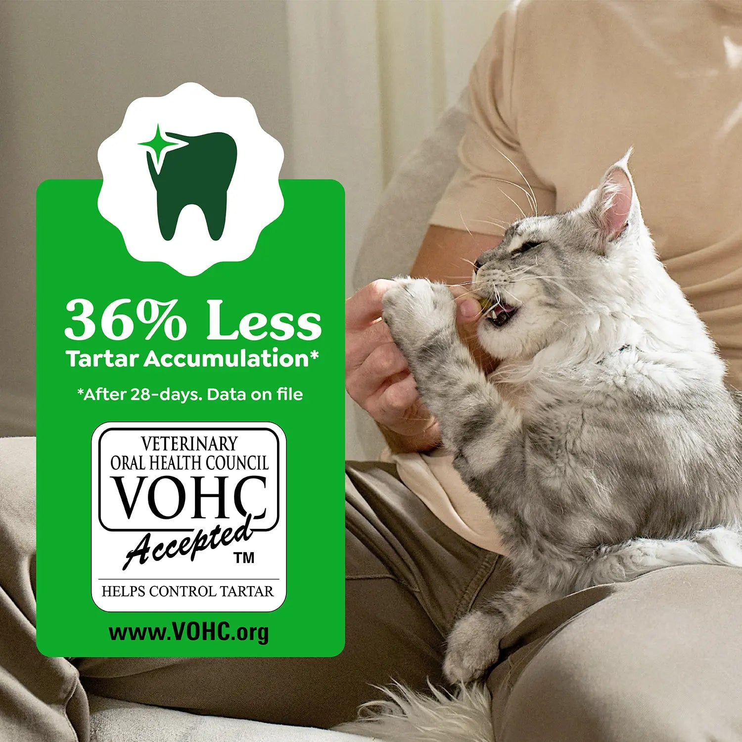 Vet of Greenies Feline Savory Salmon Adult Cat Dental Treats 21-oz
