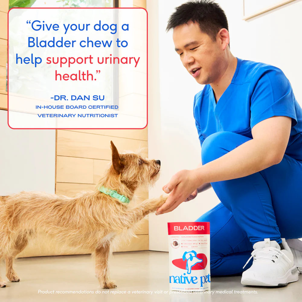 Native Pet Cranberry Bladder Chews Kidney & Urinary Supplement for Dogs 30 Count, Kwik Pets