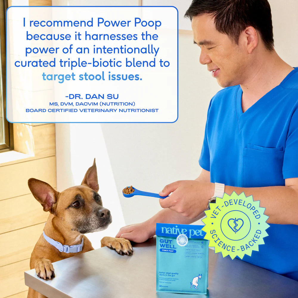 Native Pet Gutwell Power Poop Digestion Support Supplement for Dogs 12.7-oz, Kwik Pets