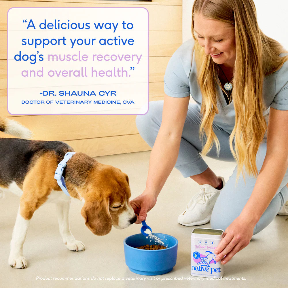 Native Pet Goat Milk Powder Recovery & Energy Support for Active Dogs 7-oz, Kwik Pets