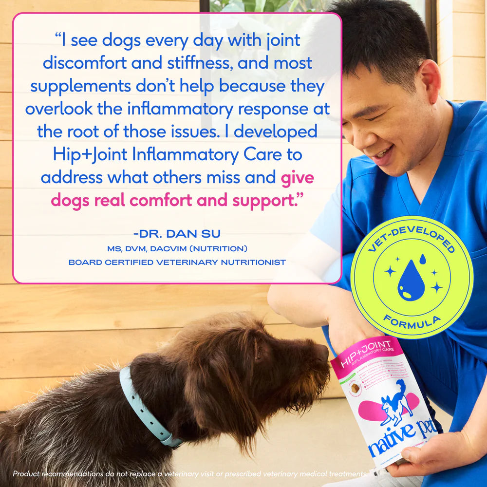 Native Pet Hip & Joint Inflammatory Care Chews Supplement for Dogs 30 Count, Kwik Pets