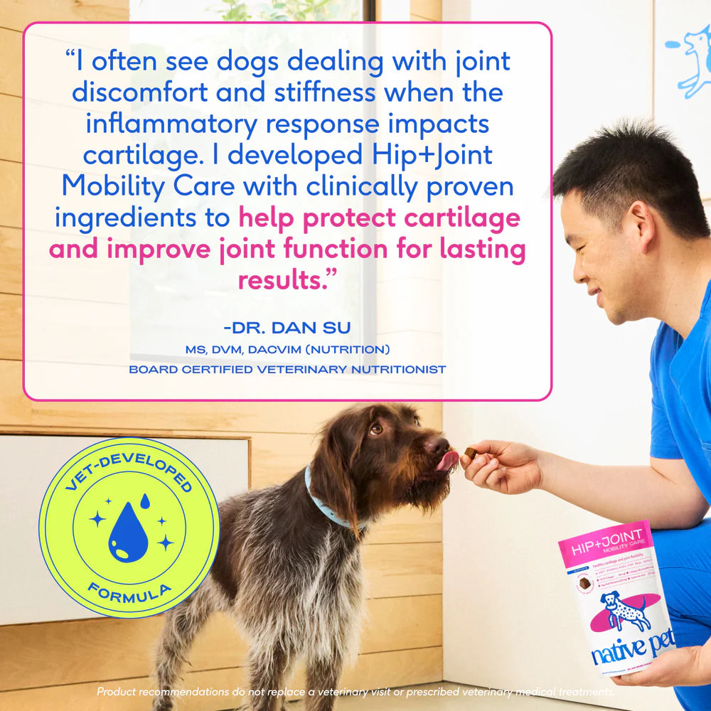 Native Pet Hip & Joint Mobility Care Chews for Dogs 60 Count, Kwik Pets
