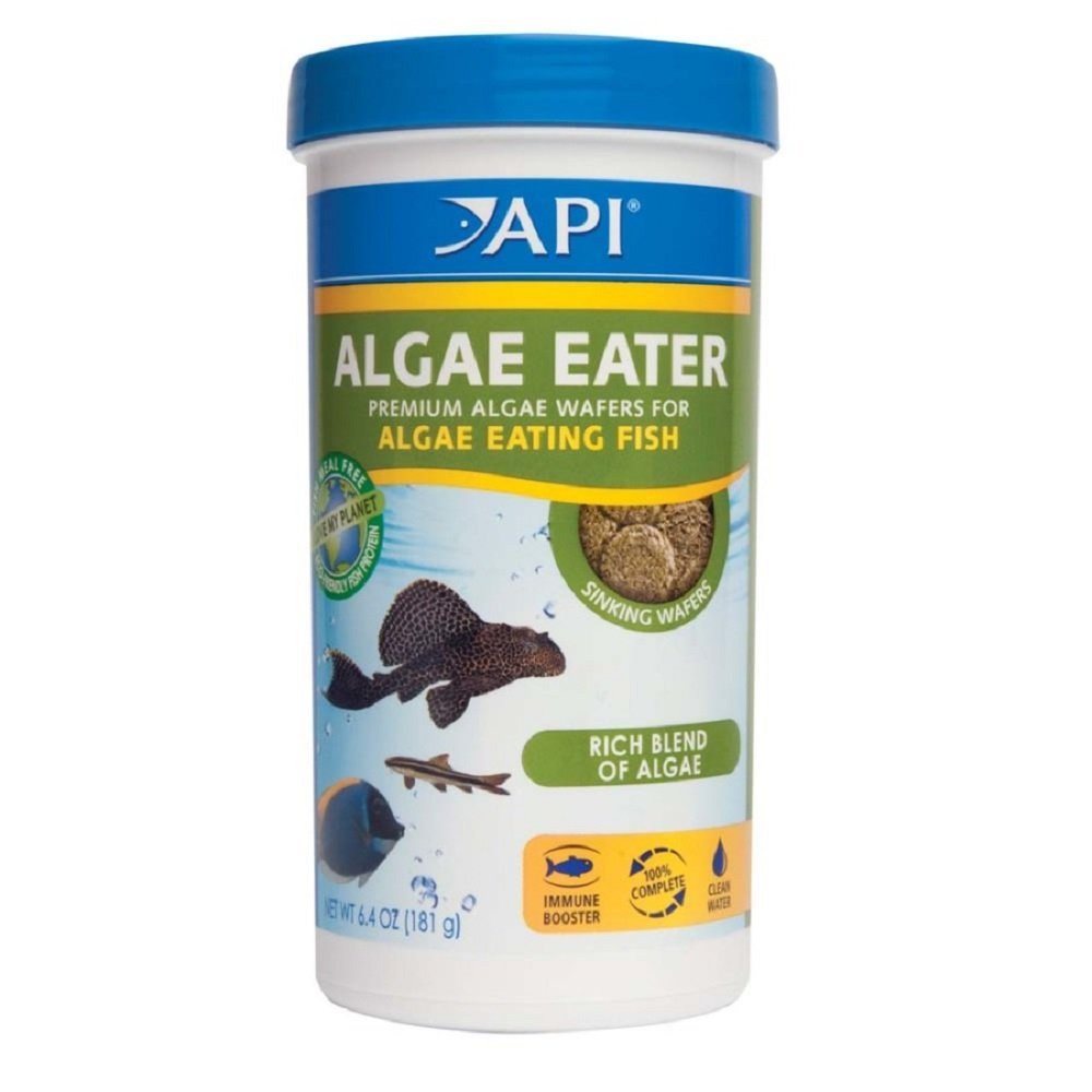 API Algae Eater Premium Sinking Wafer Fish Food 6.4 oz - Kwik Pets