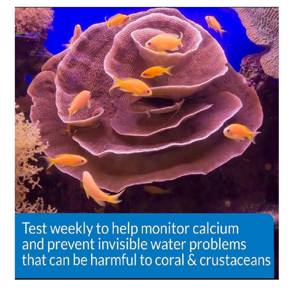 API Calcium Saltwater Aquarium Test Kit, 1 count - Kwik Pets