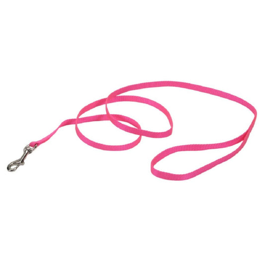 Coastal Single-Ply Nylon Dog Leash Neon Pink 3/8X6ft - Kwik Pets