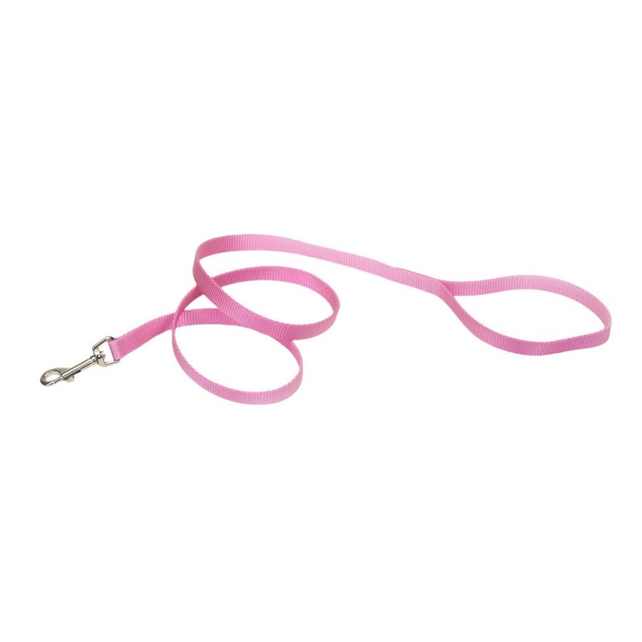 Coastal Single-Ply Nylon Dog Leash Pink Bright ,5/8 In X 6 ft - Kwik Pets