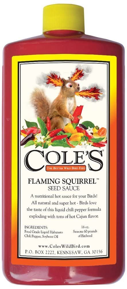 Cole's Flaming Squirrel Seed Sauce 16oz - Kwik Pets