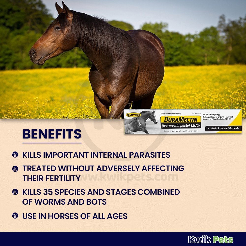 Durvet Duramectin Ivermectin Paste 1.87% Horse Dewormer Removes Worms & Bots - Kwik Pets