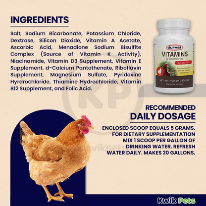 Durvet Poultry Vitamins & Electrolytes 100gm - Kwik Pets