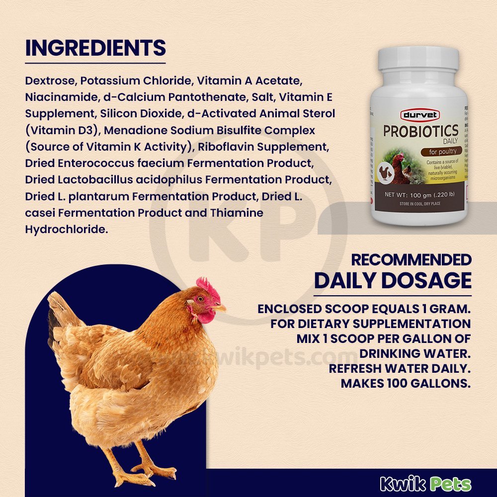 Durvet Probiotics Daily Poultry Supplement 100gm - Kwik Pets