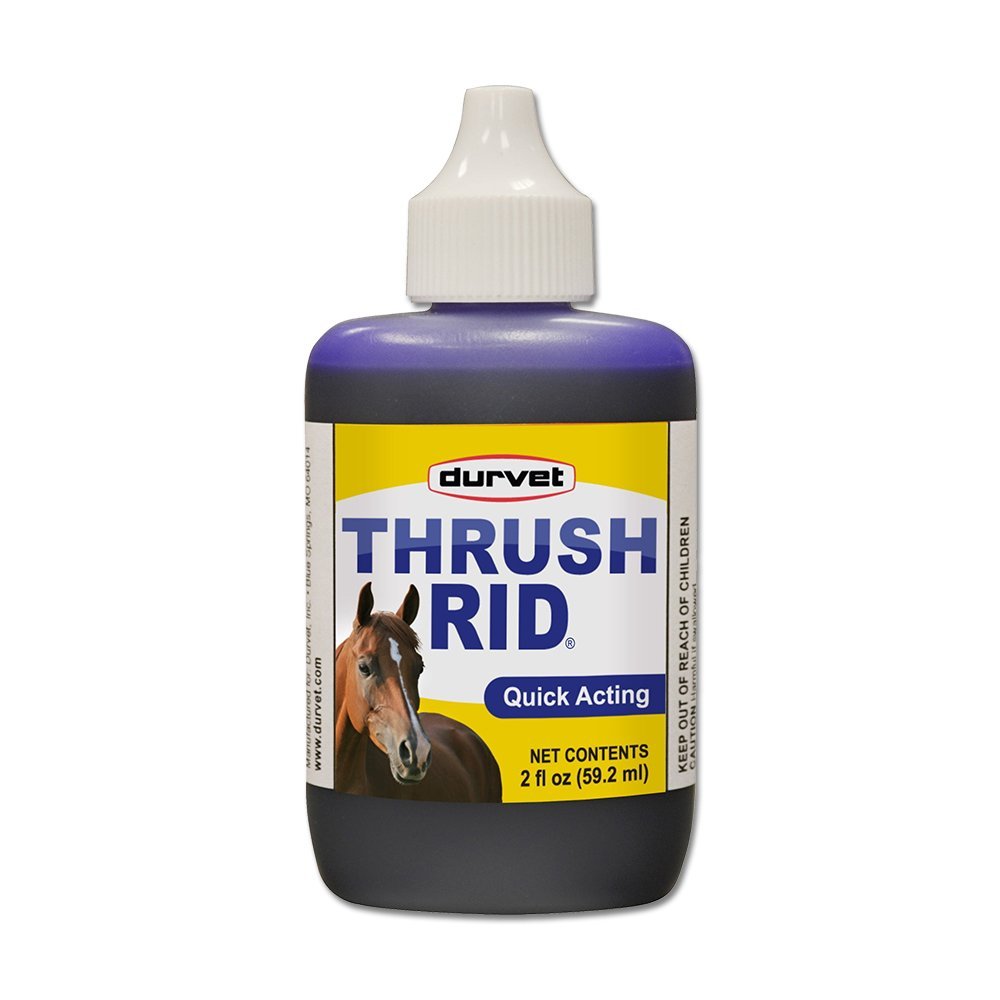 Durvet Thrush Rid for Horses - 2 fl oz - Kwik Pets