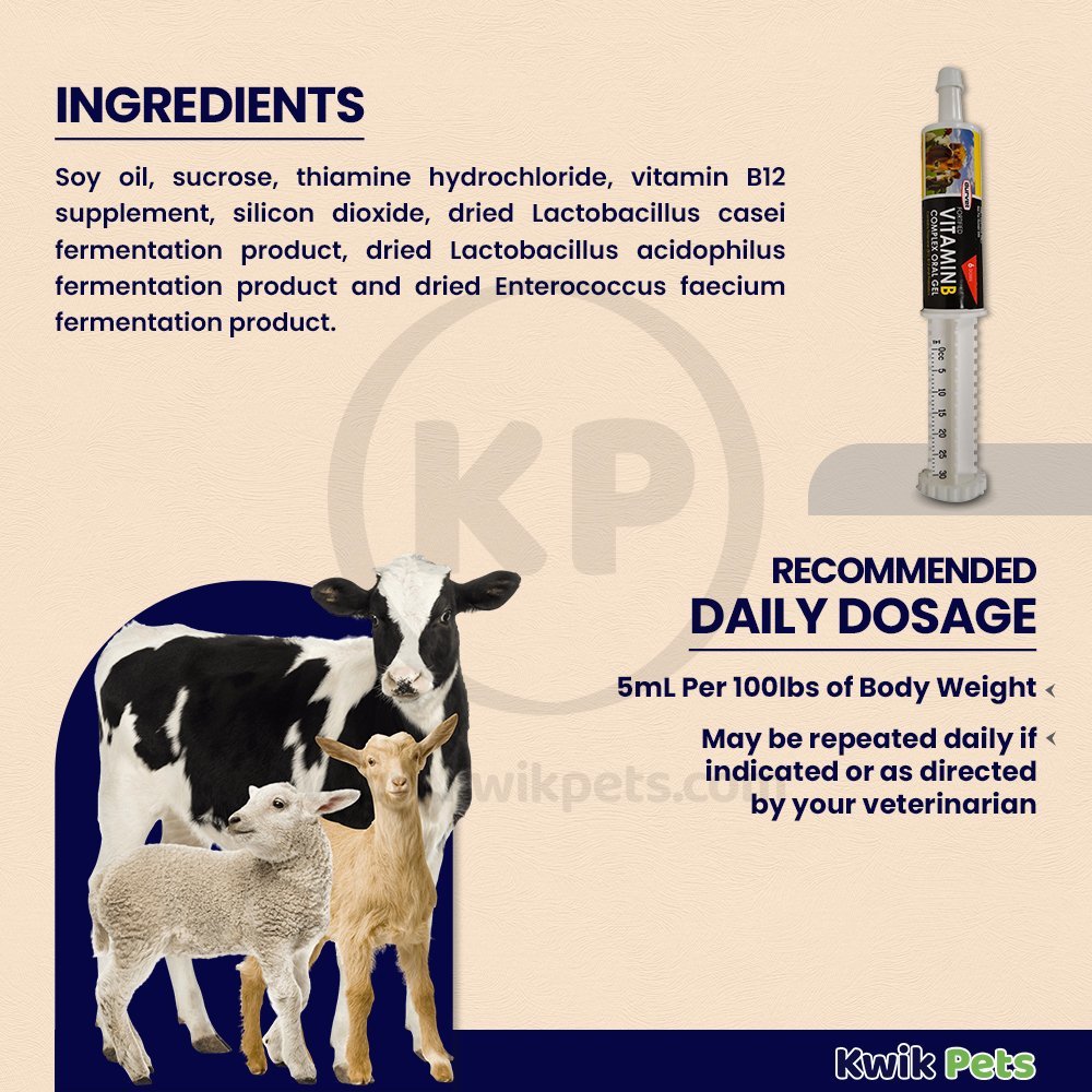 Durvet Vitamin B Complex Oral Gel 30ml - Kwik Pets