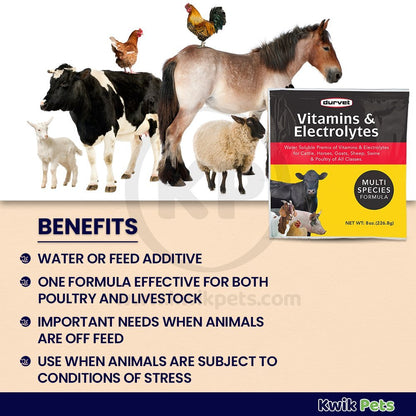 Durvet Vitamins & Electrolytes - 8 oz - Kwik Pets