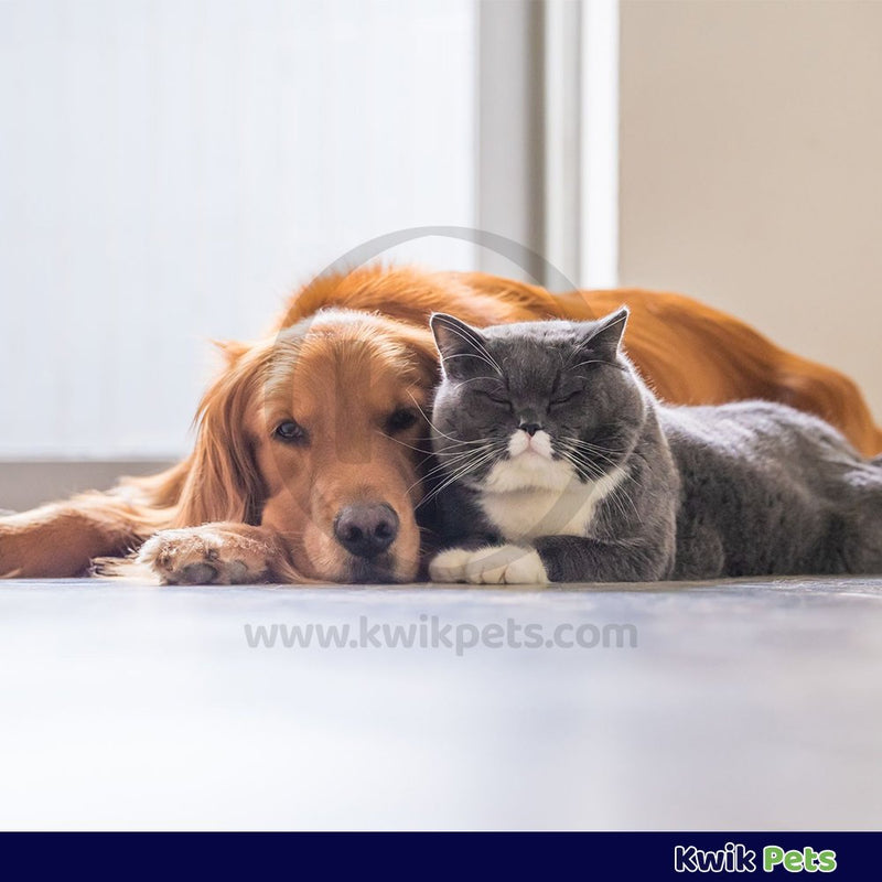 Durvet Wormeze Gel Dog & Cat, 4oz - Kwik Pets