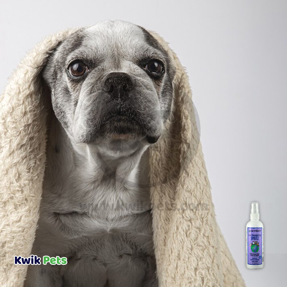 earthbath® 3-IN-1 Deodorizing Spritz, Rosemary with Skin & Coat Conditioners, Made in USA, 8 oz pump spray - Kwik Pets