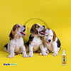 earthbath® 3-in-1 Deodorizing Spritz, Vanilla Almond with Skin & Coat Conditioners, Made in USA, 8 oz pump spray - Kwik Pets