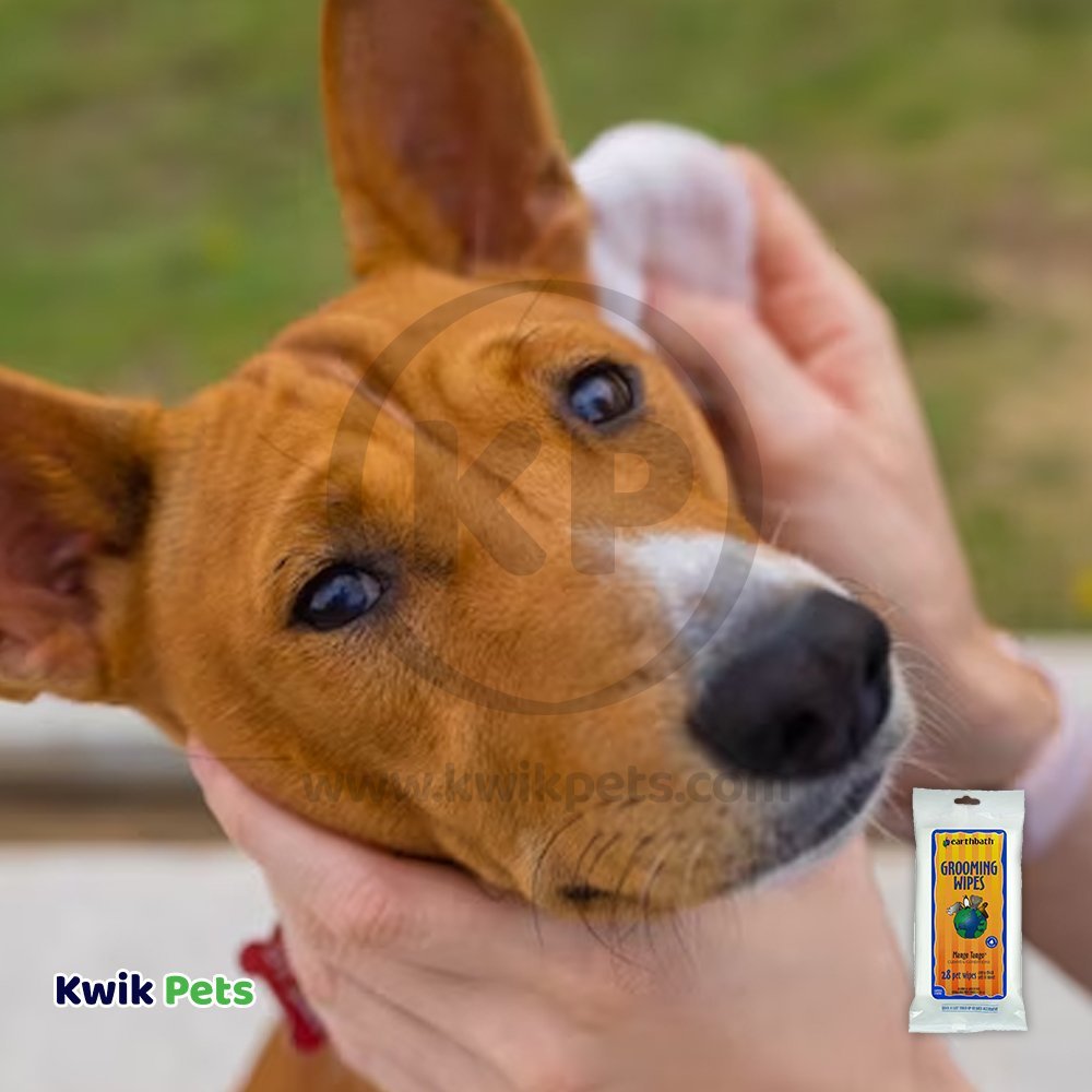 earthbath® Grooming Wipes, Mango Tango®, Cleans & Conditions, 28 ct re-sealable travel package - Kwik Pets