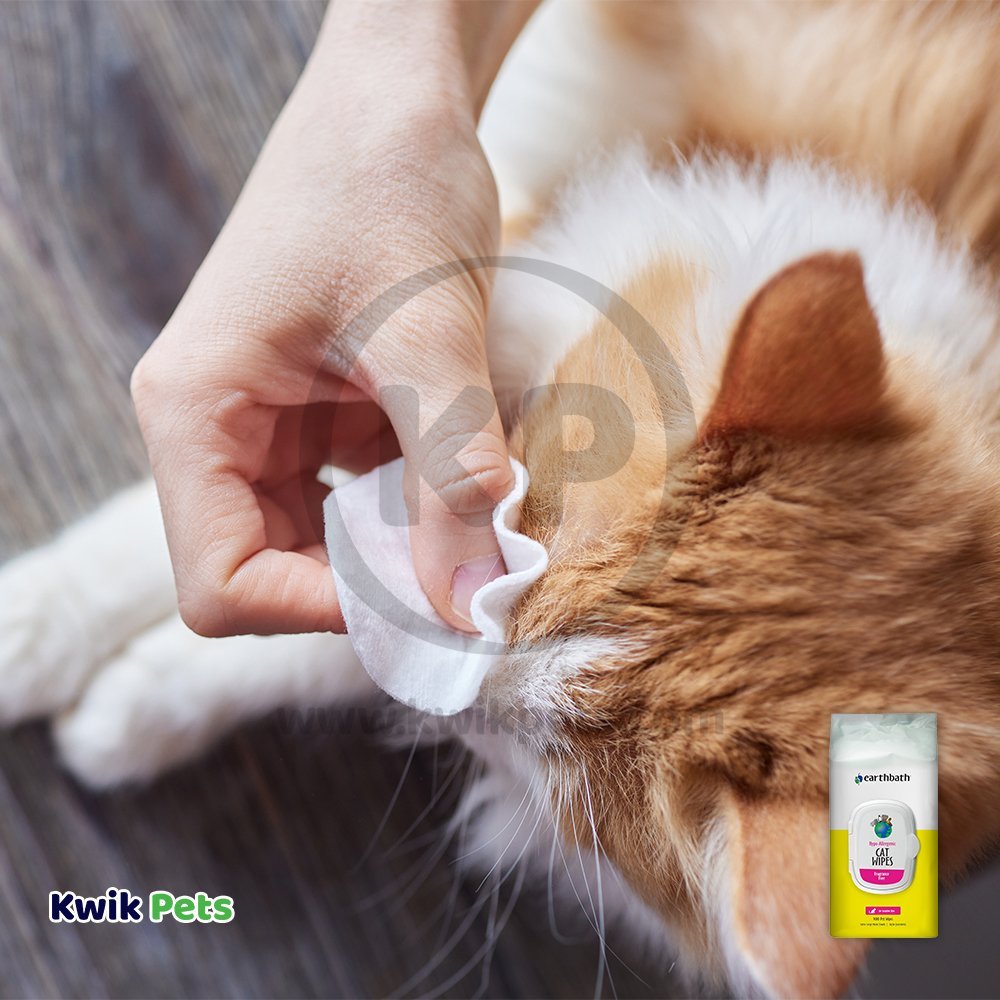 Earthbath Hypo-Allergenic Cat & Kitten Grooming Wipes, Fragrance Free 100 ct - Kwik Pets