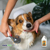 Earthbath Oatmeal & Aloe Shampoo Fragrance Free 1 gal - Kwik Pets