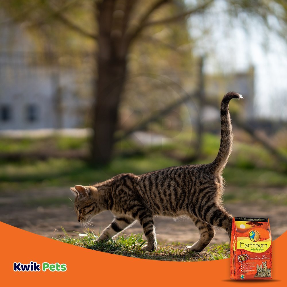 Earthborn Holistic Primitive Feline Grain Free Dry Cat Food, 14 lb - Kwik Pets