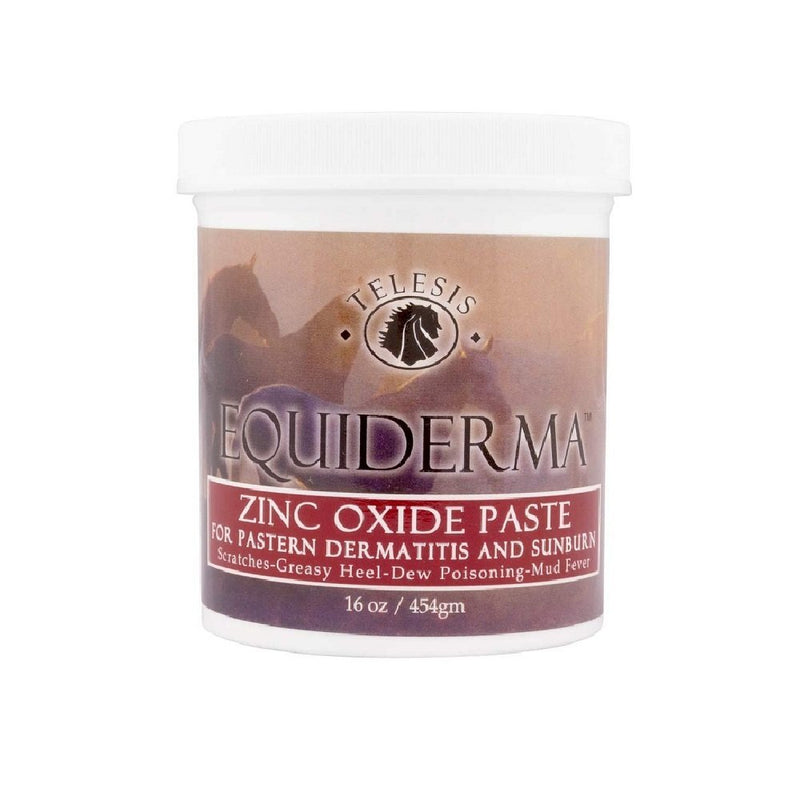 Equiderma Zinc Oxide Paste for Horses 16oz - Kwik Pets