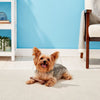 Ethical Pet Bam-bones Bone Bacon Tough Dog Chew Toy 5.75 in - Kwik Pets